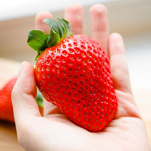 Strawberry 'Sweet Colossus' 3 Strawberry 'Sweet Colossus' - Image 3