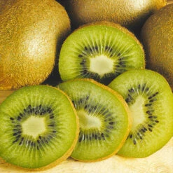 Actinidia Deliciosa - Kiwi Fruit 'Jenny' 7 Actinidia Deliciosa - Kiwi Fruit 'Jenny' -Yougarden Online Store 340098 2