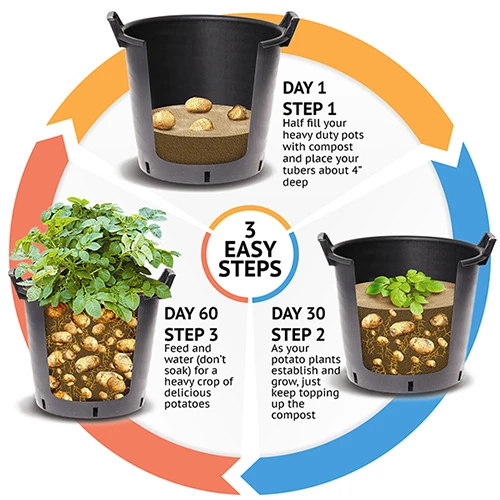 Complete Patio Potato Growing Kit 2 Complete Patio Potato Growing Kit - Image 2
