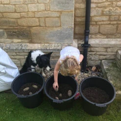 Complete Patio Potato Growing Kit 14 Complete Patio Potato Growing Kit -Yougarden Online Store 350007 5