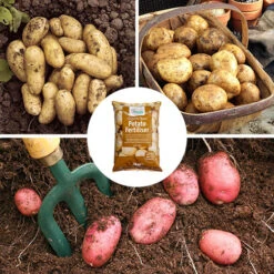 Complete Patio Potato Top-up Kit