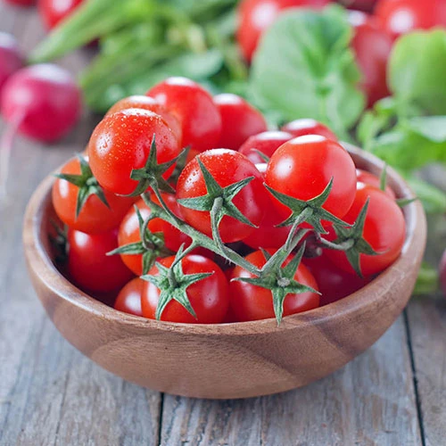 'Tumbling Tom' Tomato 3 'Tumbling Tom' Tomato - Image 3