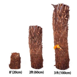 Tree Fern Dicksonia Antarctica Log -Yougarden Online Store 500071 8