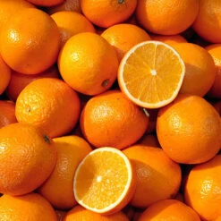 Large Orange Tree -Yougarden Online Store 680019 2