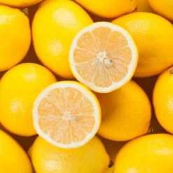 Pair Of Large Lemon Trees -Yougarden Online Store 680092 2