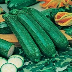 Greens Vegetable Seed Collection 8 Greens Vegetable Seed Collection -Yougarden Online Store 700051 3