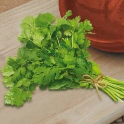 Herb Seed Collection -Yougarden Online Store 700052 4